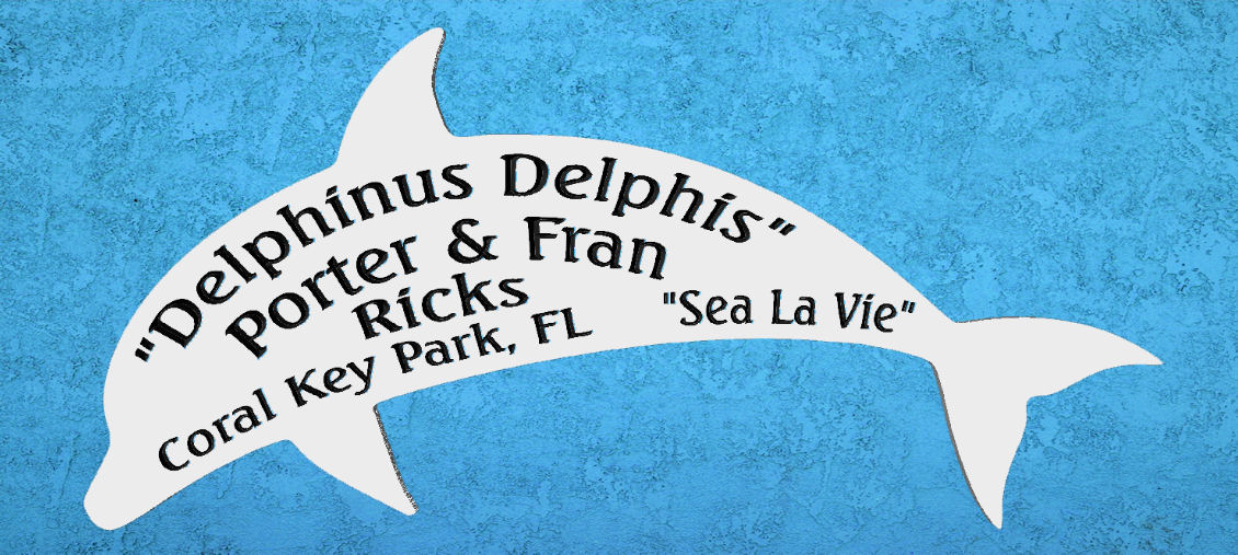 26 X 12 Gray outdoor Dolphin sign.